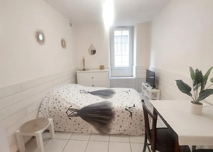 Meuble Au Pied Du Chateau 公寓 *