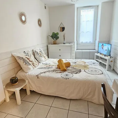 Apartment Meuble Au Pied Du Chateau Lourdes